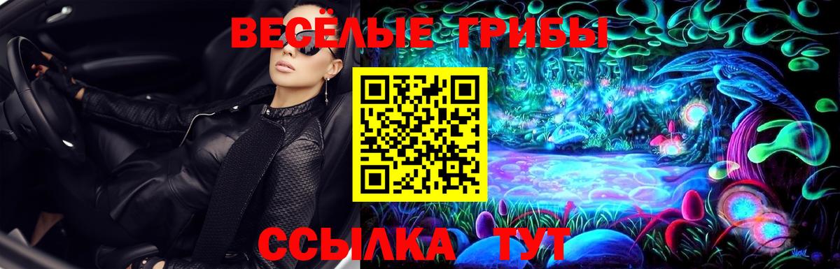 Псилоцибиновые грибы GOLDEN TEACHER  Вход с VPN  Псилоцибиновые грибы прущие грибы  Гурьевск 